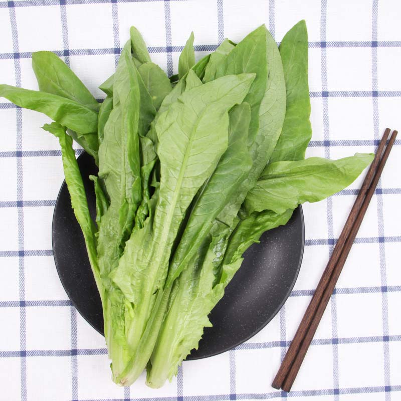 油麦菜 约300克